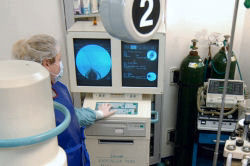 Toxin testing
